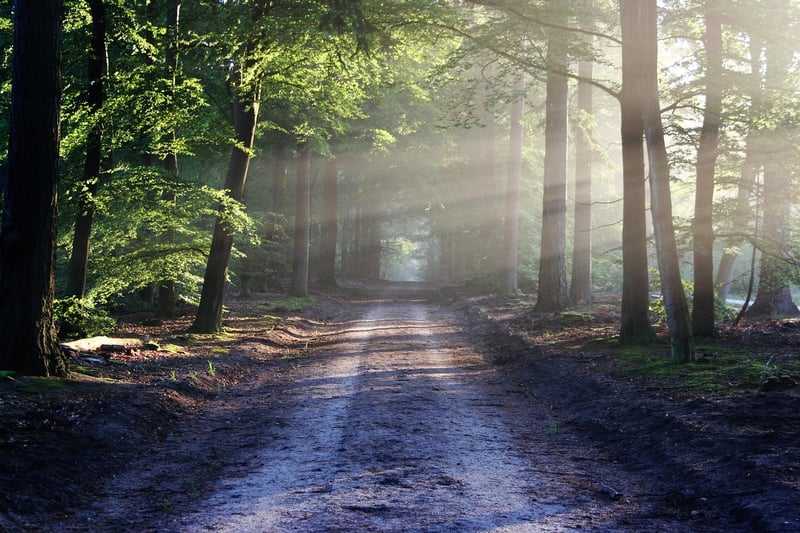 Nature landscape